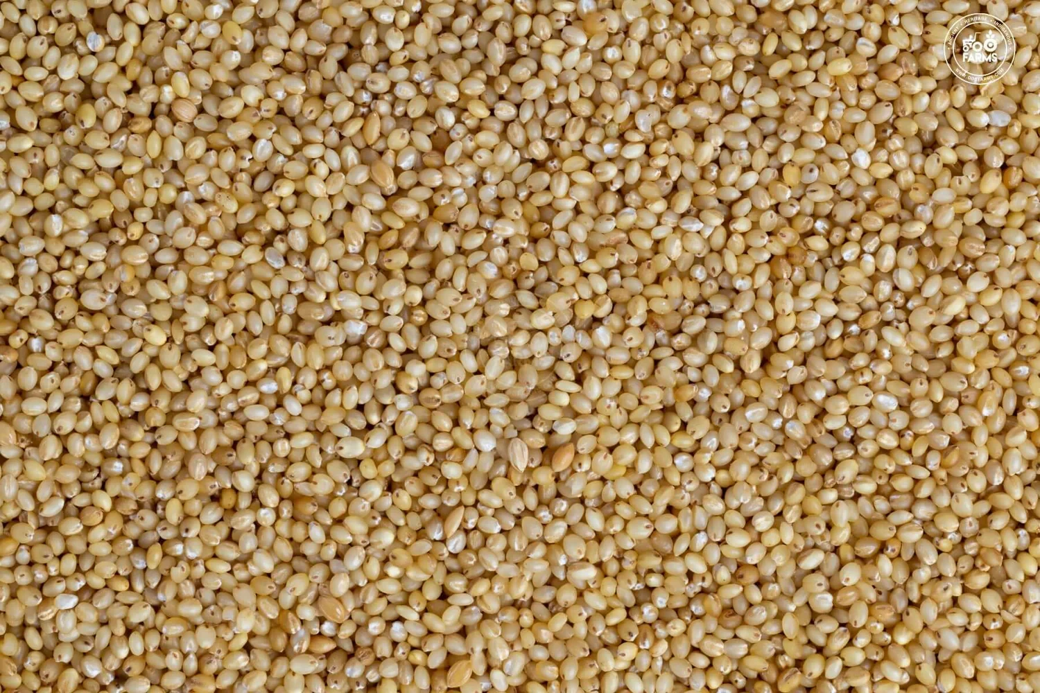 தினை அரிசி / Thinai 1Kg
